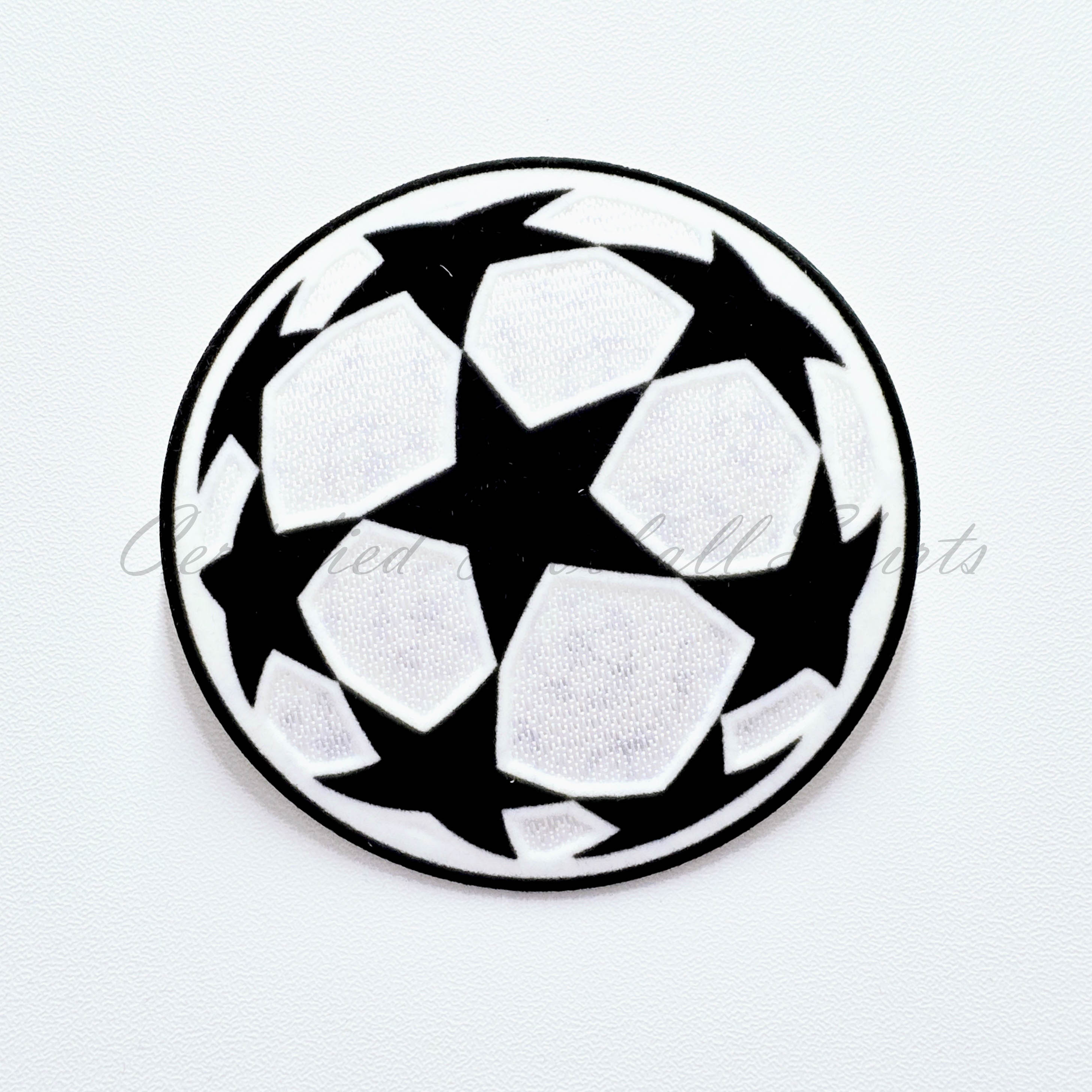 2024-2026 UEFA Champions League